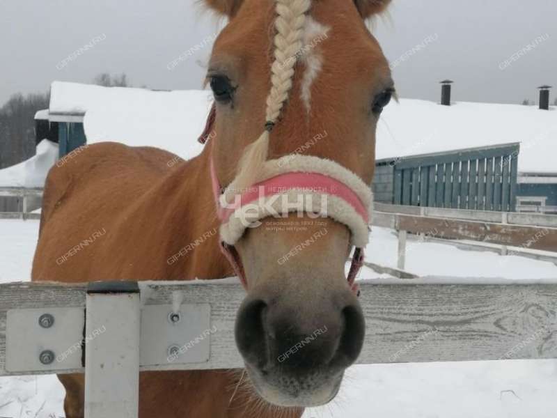 дом на Главная Аллея КП Новая деревня Владыкино