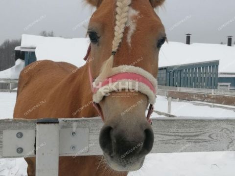 dom-kp-novaya-derevnya-vladykino-bogorodskiy-municipalnyy-okrug фото