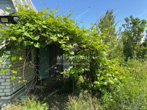 dacha-snt-stroitel-balahninskiy-municipalnyy-okrug фото