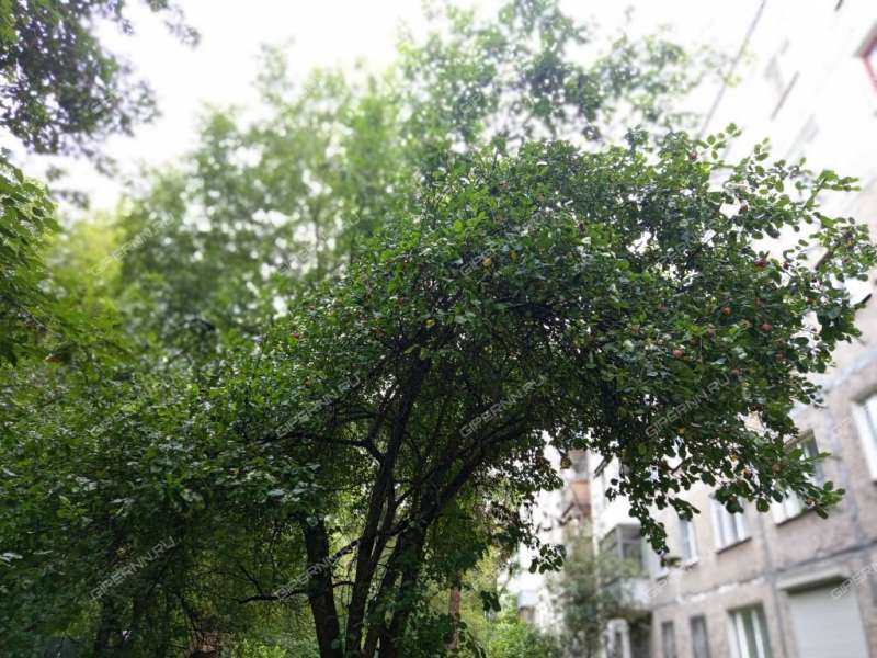 двухкомнатная квартира на улице Старых Производственников дом 10