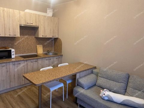 1-komnatnaya-ul-kominterna-d-184 фото