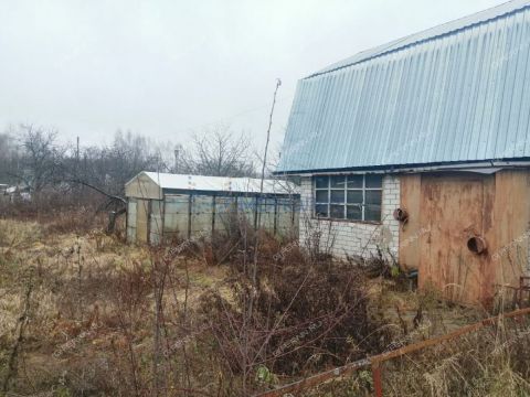 dacha-gorod-bor-gorodskoy-okrug-bor фото