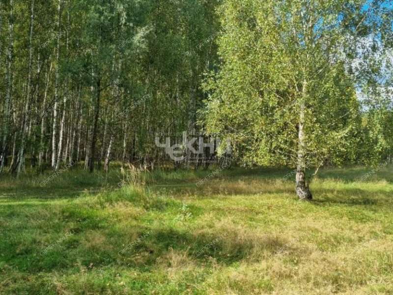 земельный участок 15 соток село Каменка