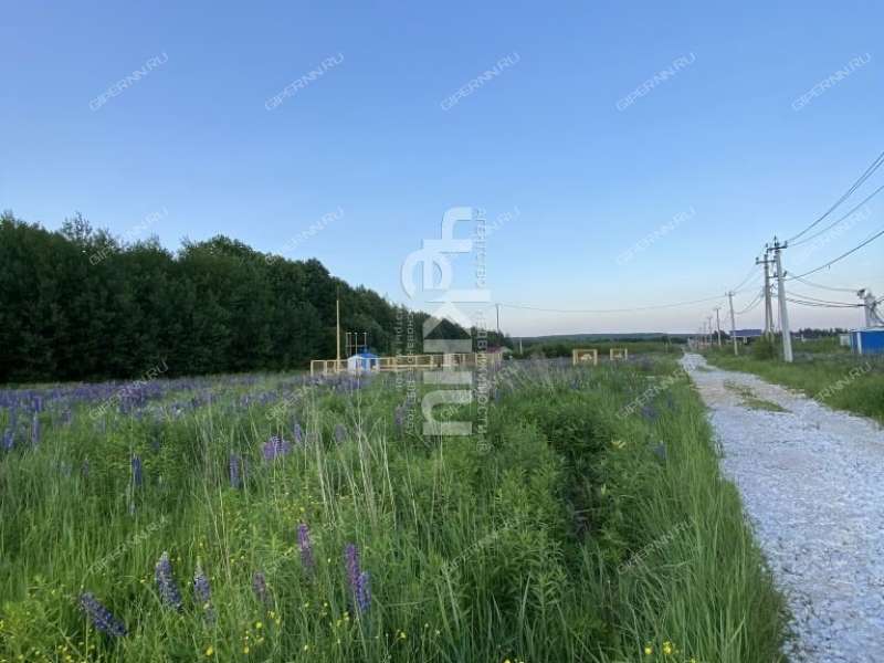 земельный участок 20 соток Семена Захарова село Дуденево