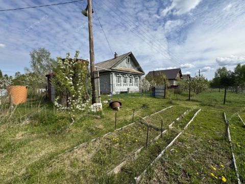 dom-derevnya-sitnikovo-gorodskoy-okrug-bor фото