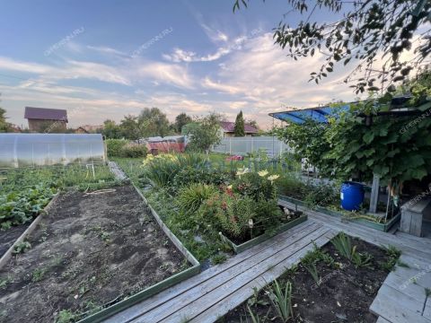 dacha-snt-nadezhda фото