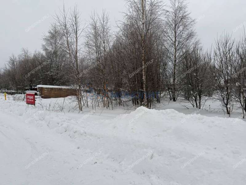 земельный участок 20,6 сотки Дружная улица село Дивеево