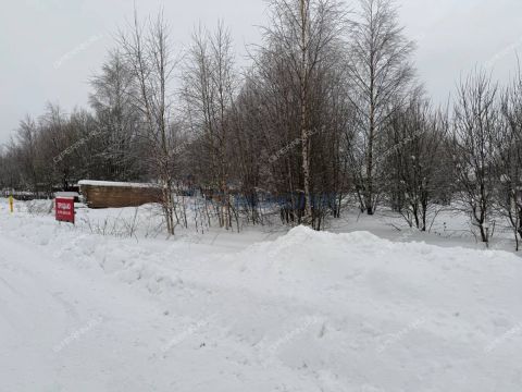 selo-diveevo-diveevskiy-municipalnyy-okrug фото