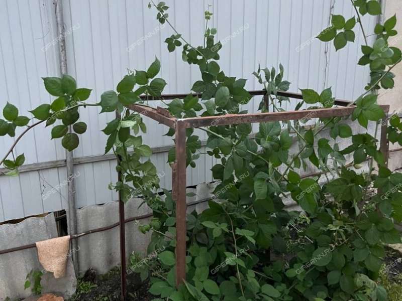 дом на СНТ Корабел