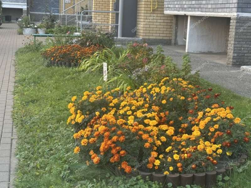 однокомнатная квартира на Арктической улице дом 20