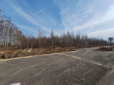derevnya-ushakovo-bogorodskiy-municipalnyy-okrug фото