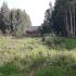 земельный участок 12 соток деревня Божёнки