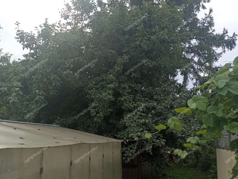 земельный участок 10 соток село Редькино