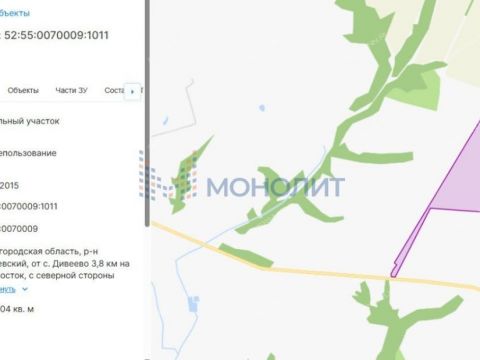 selo-diveevo-diveevskiy-municipalnyy-okrug фото