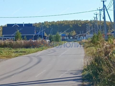 derevnya-gremyachki-bogorodskiy-municipalnyy-okrug фото