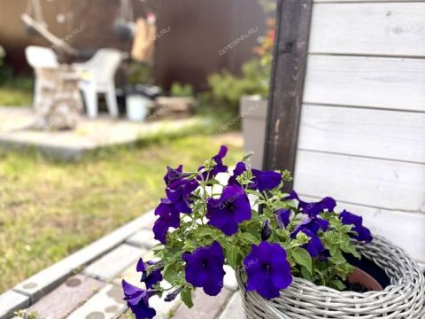 dom-derevnya-hvatkovo-bogorodskiy-municipalnyy-okrug фото