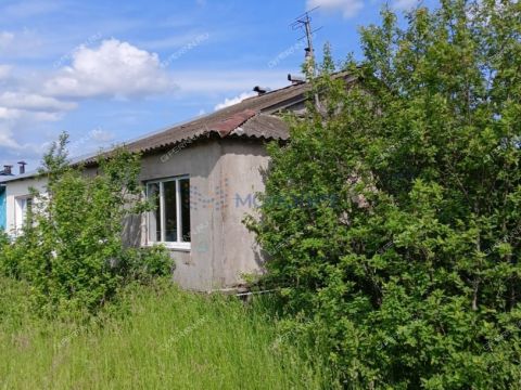 3-komnatnaya-selo-vypolzovo-shatkovskiy-rayon фото