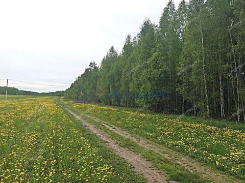 dom-derevnya-bugry-dalnekonstantinovskiy-rayon фото