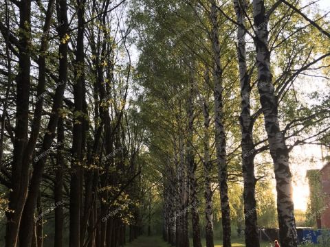 2-komnatnaya-ul-burnakovskaya-d-121 фото