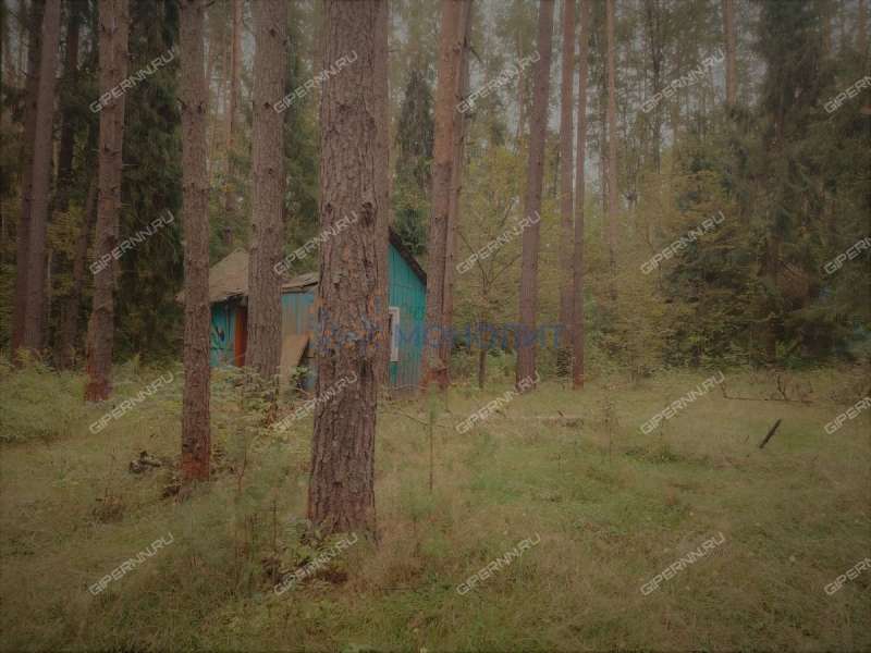 земельный участок под коммерческое использование в городском округе Бор Нижегородской области