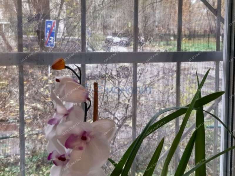 двухкомнатная квартира в переулке Фрунзе дом 3 город Балахна