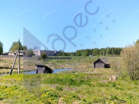 derevnya-berezovo-sokolskiy-gorodskoy-okrug фото