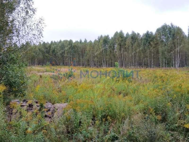 земельный участок 11 соток - деревня Заскочиха