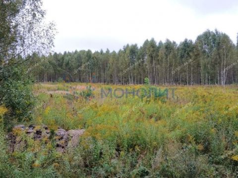 derevnya-zaskochiha-gorodskoy-okrug-bor фото