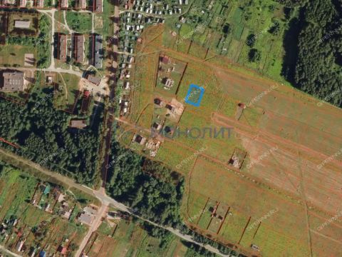 selo-ostankino-ostankinskiy-selsovet-gorodskoy-okrug-bor фото