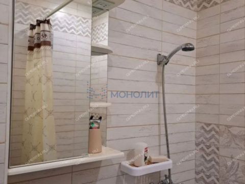 1-komnatnaya-selskiy-poselok-druzhnyy-bogorodskiy-municipalnyy-okrug фото