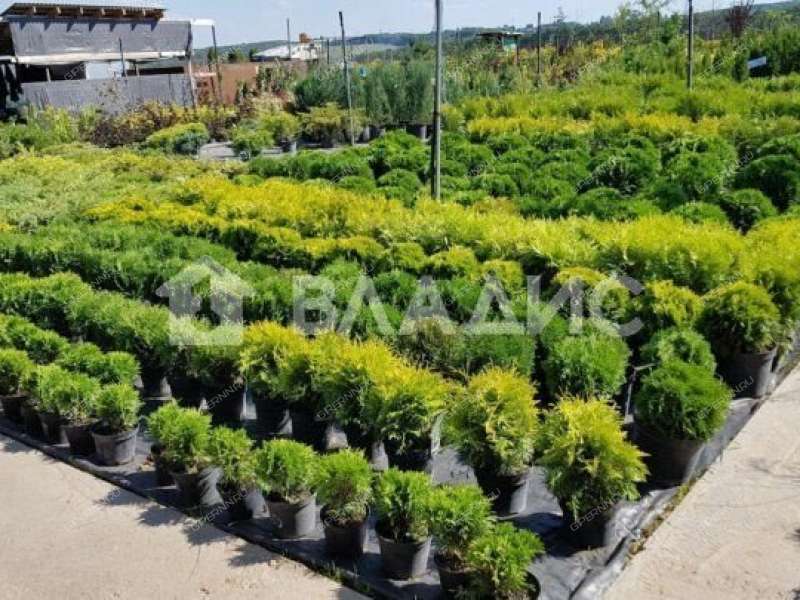 земельный участок 8 соток город Бор