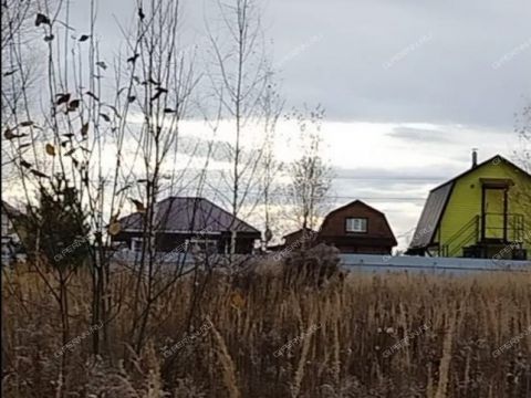 derevnya-krivaya-sheloksha-kstovskiy-rayon фото