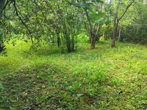 dacha-snt-sokol-sad-n3-snt-sokol-n3 фото