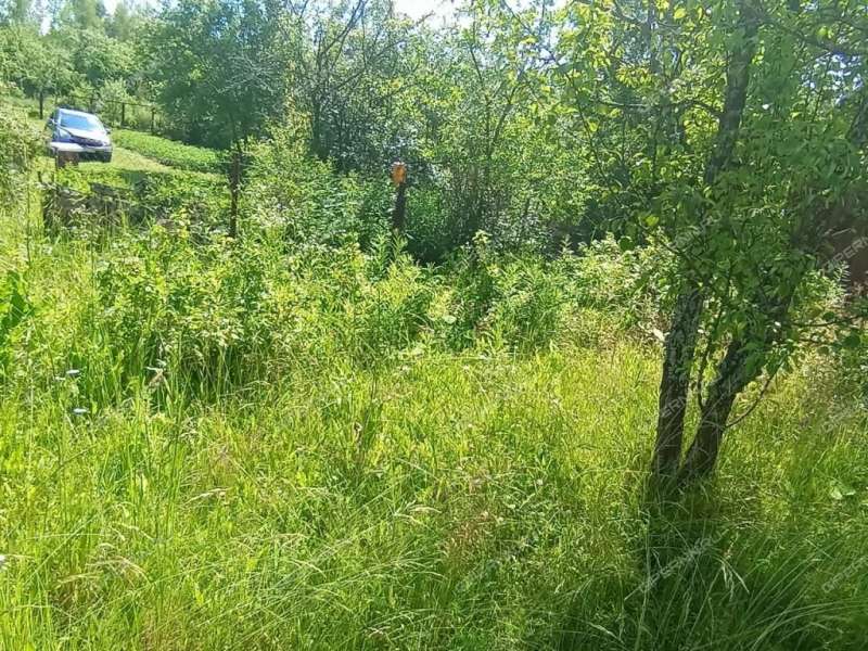 дача на  СТ №12 Ягодное