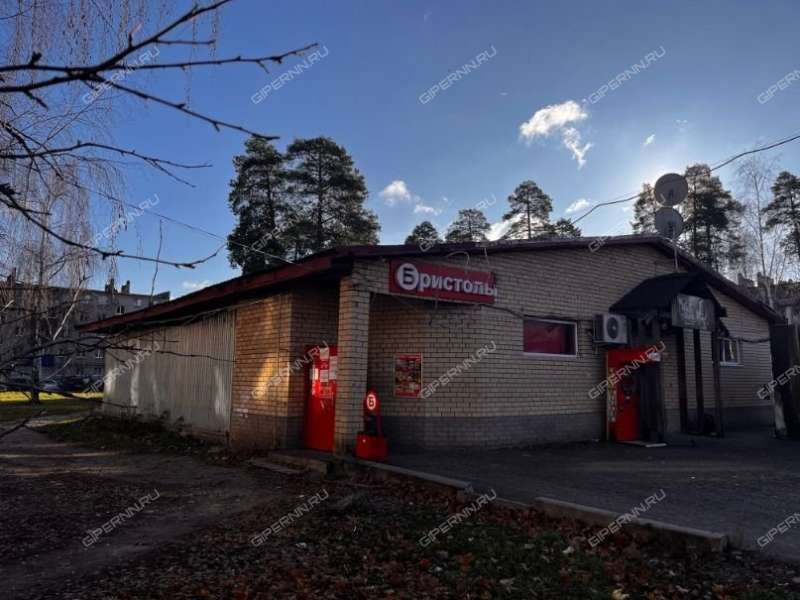 помещение под торговую площадь в микрорайоне Гоголя город Выкса