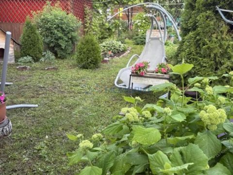 dacha-adonis-derevnya-lapshiha-ter-snt-dalnekonstantinovskiy-rayon фото