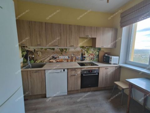 2-komnatnaya-derevnya-afonino-kstovskiy-rayon фото