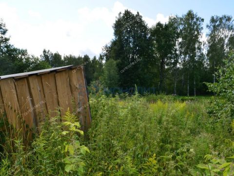 derevnya-yablonovo-gorodskoy-okrug-chkalovsk фото