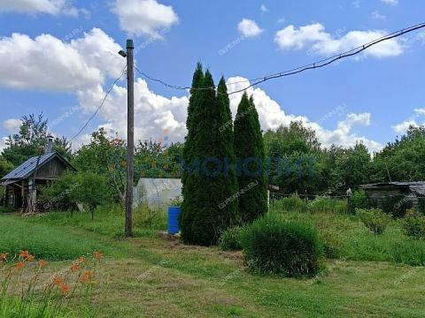 dacha-selo-margusha-dalnekonstantinovskiy-rayon фото