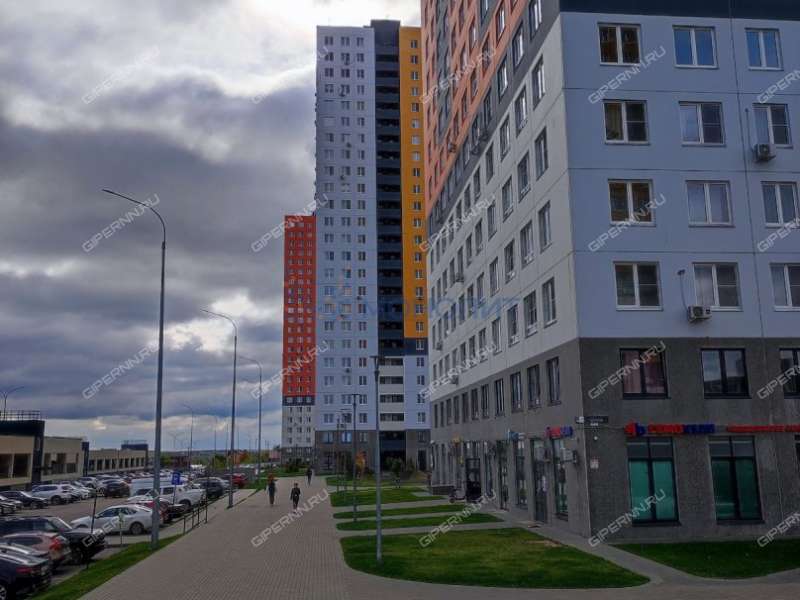 трёхкомнатная квартира на Черкесской улице дом 2 деревня Анкудиновка