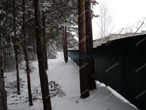 gorod-navashino-navashinskiy-gorodskoy-okrug фото