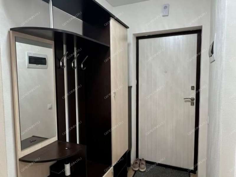 однокомнатная квартира на Машинной улице дом 29