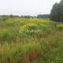 земельный участок под сельхоз назначение в Городецком районе Нижегородской области