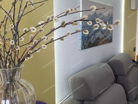 3-komnatnaya-gorod-dzerzhinsk-gorodskoy-okrug-dzerzhinsk фото