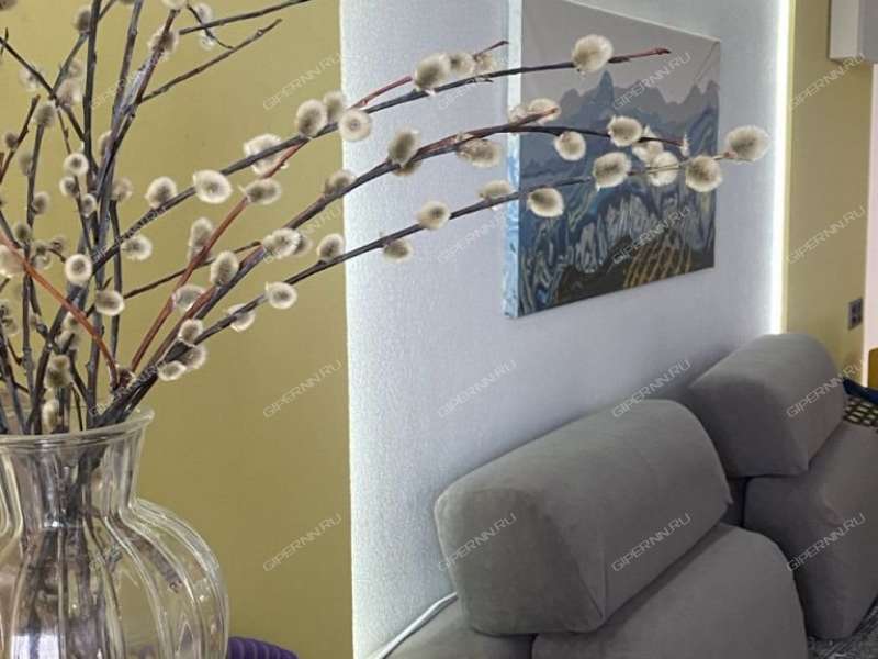 трёхкомнатная квартира на Октябрьской улице дом 5б город Дзержинск