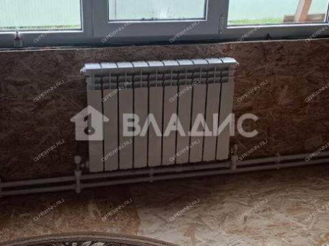 derevnya-berezovka-bogorodskiy-municipalnyy-okrug фото