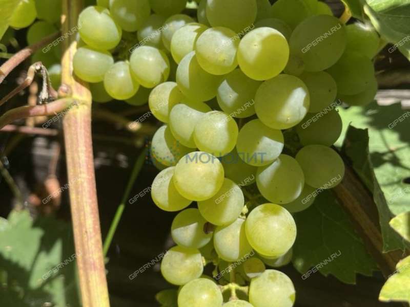 дом на улице Озерная деревня Дроздово (Кантауровский сельсовет