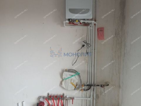 dom-lyahovo-sp-balahninskiy-municipalnyy-okrug фото