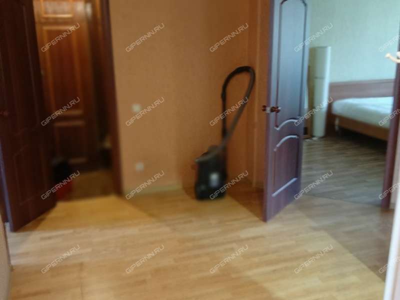 трёхкомнатная квартира на улице Ванеева дом 221