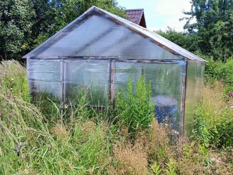 dacha-tsn-n-5-gaz фото